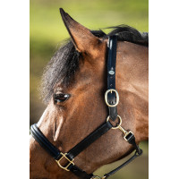 Gebombeerd halster HFI Zwart