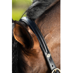 Gebombeerd halster HFI Zwart Gebombeerd halster HFI Zwart