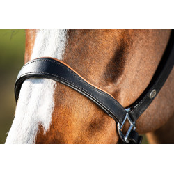 Twee-kleurig leren halster HFI Zwart / cognac