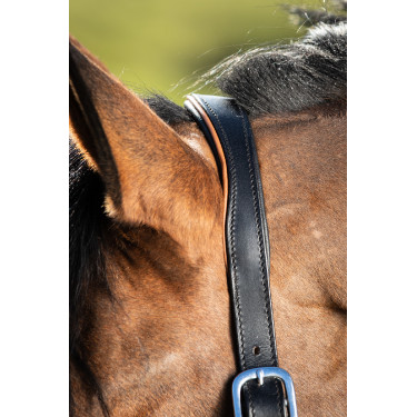 Twee-kleurig leren halster HFI Zwart / cognac Twee-kleurig leren halster HFI Zwart / cognac