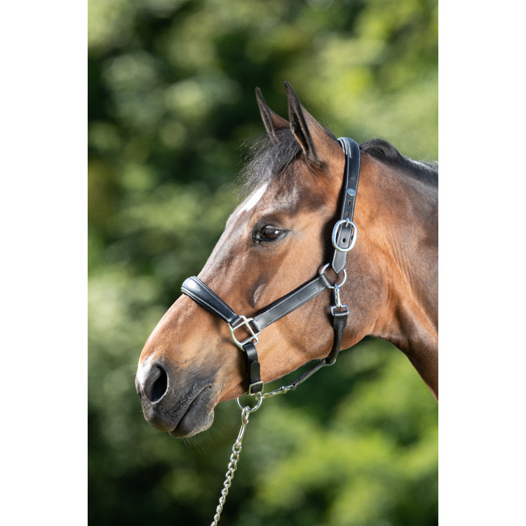 Halster grooming HFI
