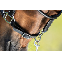 Halster grooming HFI Zwart