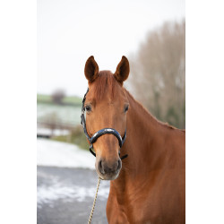 Halter HFI Polo Zwart / marine / zilverkleurig Motieven