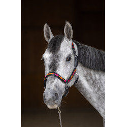 Halter HFI Polo Zwart / oranje / roze Motieven Halter HFI Polo Zwart / oranje / roze Motieven
