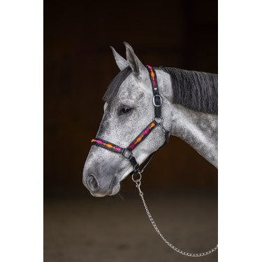 Halter HFI Polo Zwart / oranje / roze Motieven Halter HFI Polo Zwart / oranje / roze Motieven