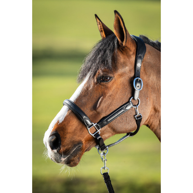 Halter HFI Wave Halter HFI Wave
