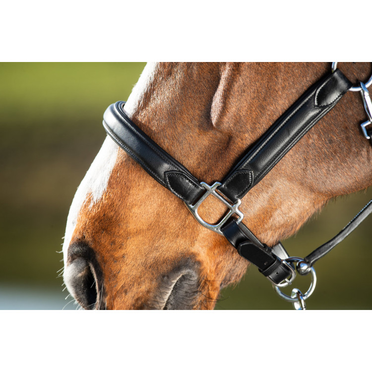 Halter HFI Wave Halter HFI Wave