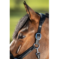 Halter HFI Wave Zwart