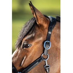 Halter HFI Wave Halter HFI Wave
