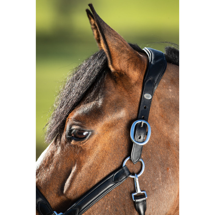 Halter HFI Wave Halter HFI Wave