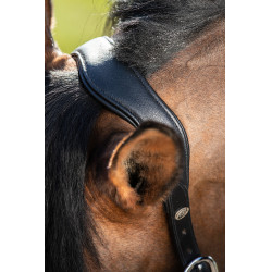 Halter HFI Wave Halter HFI Wave