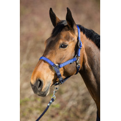 Nylon Halster HFI