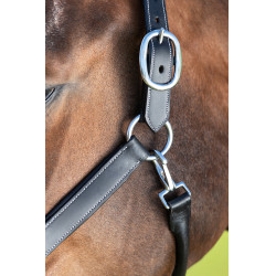 Halster grooming HFI Zwart