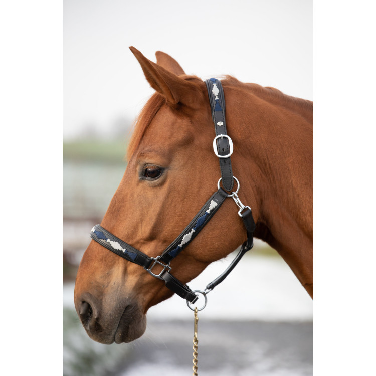 Halter HFI Polo