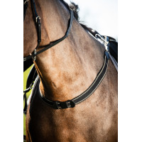 Eenvoudig elastisch hulpteugel HFI Master Noir / noir Eenvoudig elastisch hulpteugel HFI Master Noir / noir