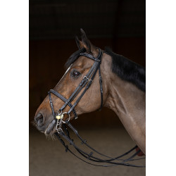 Springtrens HFI Master double jump