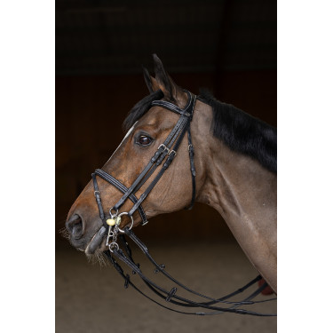 Springtrens HFI Master double jump