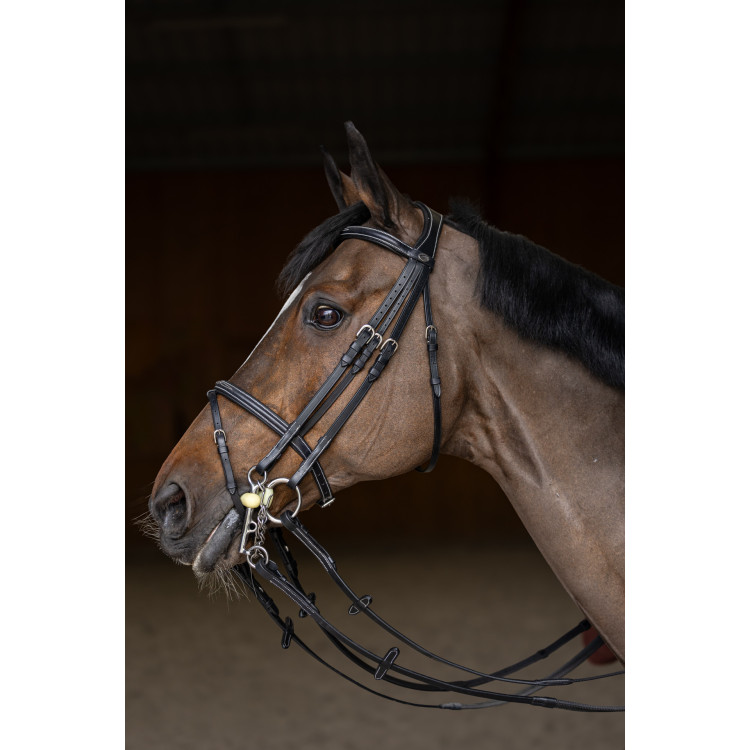 Springtrens HFI Master double jump