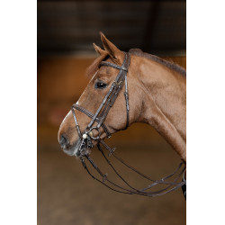 Springtrens HFI Master double jump