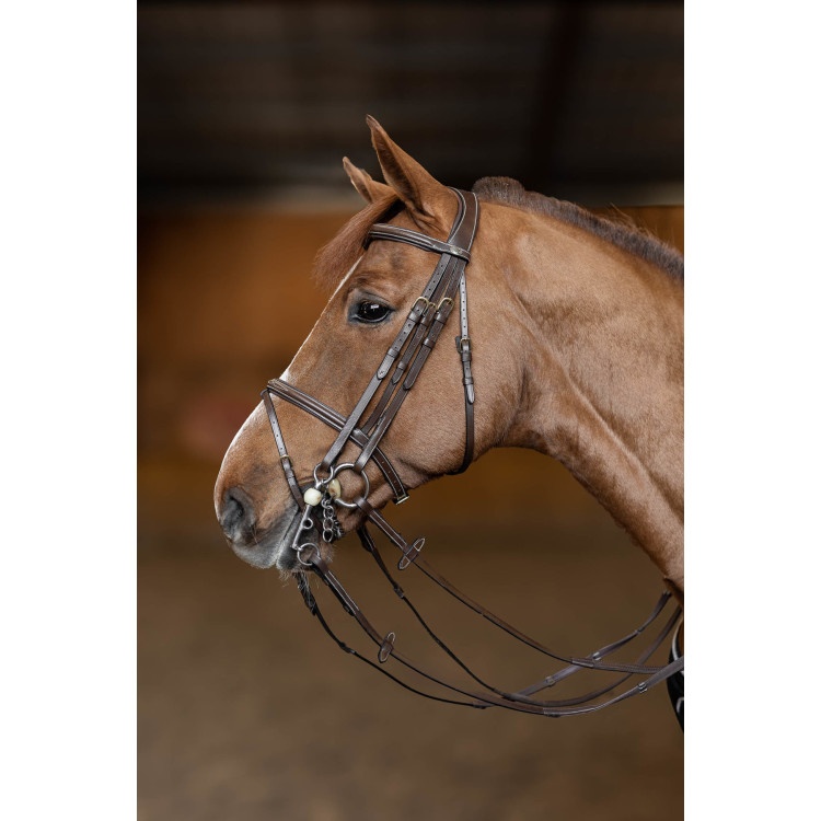 Springtrens HFI Master double jump