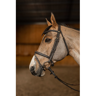 Combinatie Hoofdstel Flex HFI Master Bruin Combinatie Hoofdstel Flex HFI Master Bruin