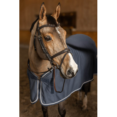 Combinatie Hoofdstel Flex HFI Master Bruin Combinatie Hoofdstel Flex HFI Master Bruin