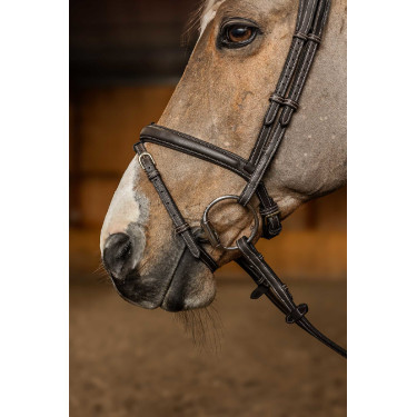 Combinatie Hoofdstel Flex HFI Master Bruin Combinatie Hoofdstel Flex HFI Master Bruin