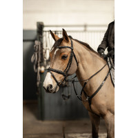 Gecombineerd hoofdstel Milano HFI Master Pro Line Zwart / zilver