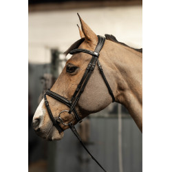 Gecombineerd hoofdstel Milano HFI Master Pro Line Zwart / zilver