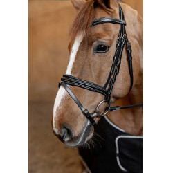 Gecombineerd Hoofdstel Padded HFI Master