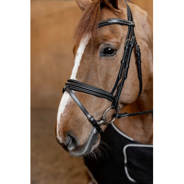 Gecombineerd Hoofdstel Padded HFI Master