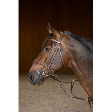 Gecombineerd Hoofdstel Padded HFI Master Bruin
