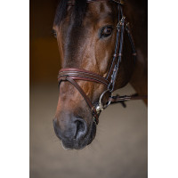 Gecombineerd Hoofdstel Padded HFI Master Bruin