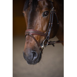 Gecombineerd Hoofdstel Padded HFI Master Bruin
