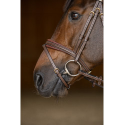 Gecombineerd Hoofdstel Padded HFI Master Bruin