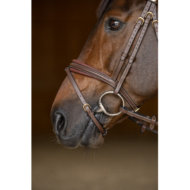 Gecombineerd Hoofdstel Padded HFI Master Bruin