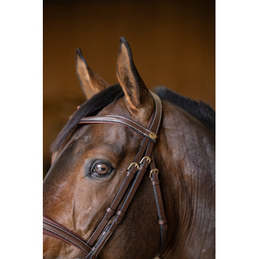 Gecombineerd Hoofdstel Padded HFI Master Bruin