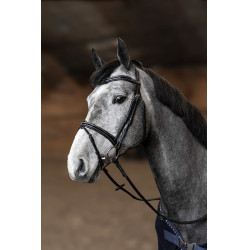 **Gecombineerd Hoofdstel Painted HFI Master**