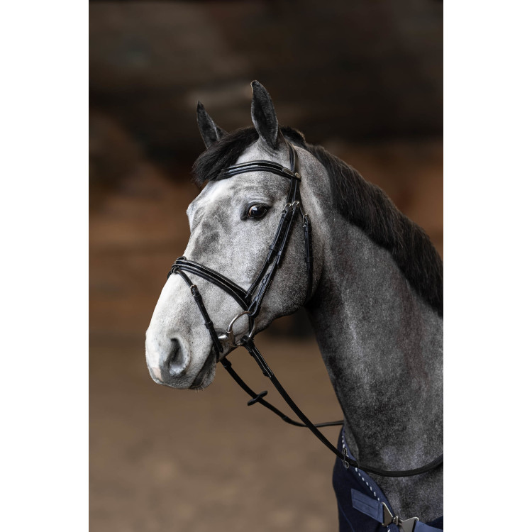 **Gecombineerd Hoofdstel Painted HFI Master**
