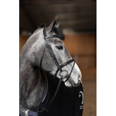 **Gecombineerd Hoofdstel Painted HFI Master** Zwart **Gecombineerd Hoofdstel Painted HFI Master** Zwart
