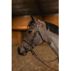 **Gecombineerd Hoofdstel Painted HFI Master** Bruin