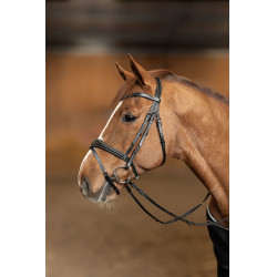 Gecombineerd Hoofdstel Wavy HFI Master