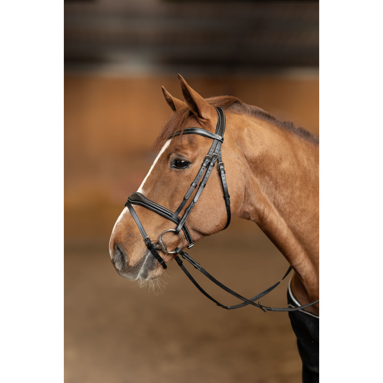 Gecombineerd Hoofdstel Wavy HFI Master