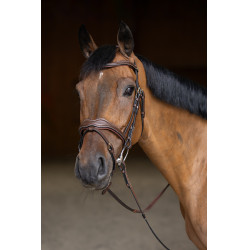 Gecombineerd Hoofdstel Wavy HFI Master Bruin