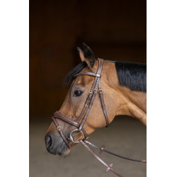 Gecombineerd Hoofdstel Wavy HFI Master Bruin