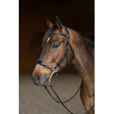 Hackamore Hoofdstel HFI Master Zwart