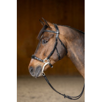 Hackamore Hoofdstel HFI Master Zwart Hackamore Hoofdstel HFI Master Zwart
