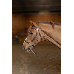 Hackamore Hoofdstel HFI Master