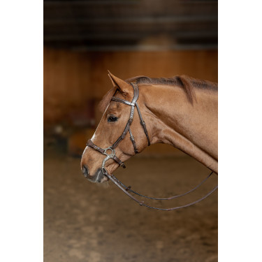 Hackamore Hoofdstel HFI Master