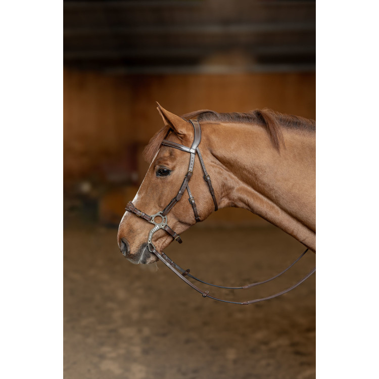 Hackamore Hoofdstel HFI Master
